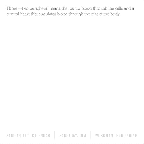 365 Days of Amazing Trivia Page-A-Day® Calendar 2026: The World's Bestselling Trivia Calendar