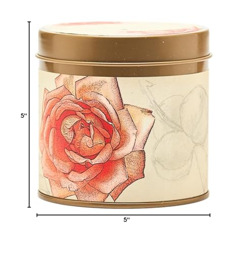Rosy Rings Signature Tin Candle - Aromatherapy Fragrance Elegant Home Decor Gift Long Lasting 50 Hour Burn Botanical Floral Notes of Apricot, Blond Woods, Mirabelle Plum, Pomelo, Violet (Apricot Rose)