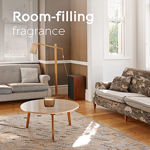 Glade Candle Cashmere Woods, Fragrance Candle Infused with Essential Oils, Air Freshener Candle, 3-Wick Candle, 6.8 Oz