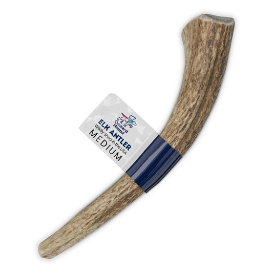 Onward Hound Elk Antlers for Dogs, 6"+ Medium 1-Pack, Grade A Long Lasting Chew for Aggressive Chewers, Premium USA Naturally Shed Antler - Healthy, No Odor, Durable Dog Chew for 15-35lb Breeds