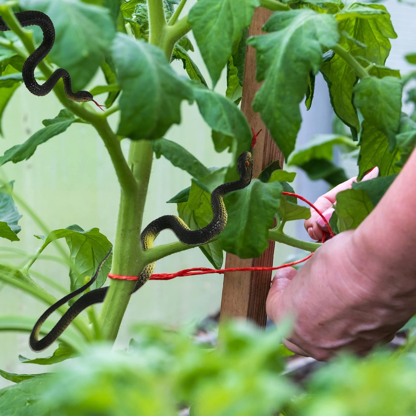 Haconba 20 Pack Realistic Rubber Snakes Plastic Snake Toys Fake Snakes for Party Favors Halloween Decoration Gag Toys, Prank and Prop 17.7 inch