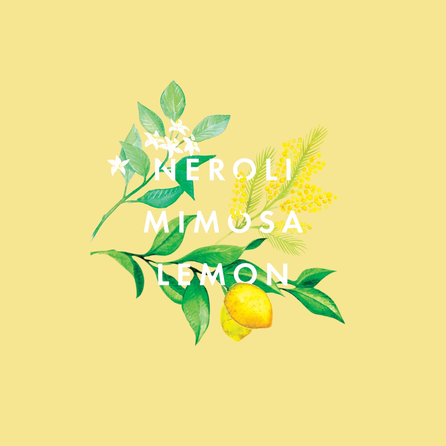 NEOM- Happiness 1 Wick Candle | Neroli, Mimosa & Lemon | Essential Oil Aromatherapy Candle