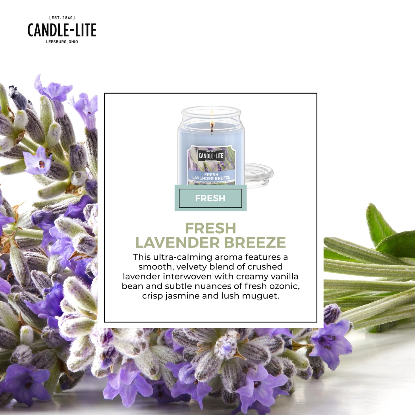 Candle-lite Scented Candles, Fresh Lavender Breeze, 18 oz Jar, Proudly Poured in The USA, Aromatherapy Candle, Single-Wick with 110 Hours of Burn Time, Perfect for Creating a Relaxing Ambiance