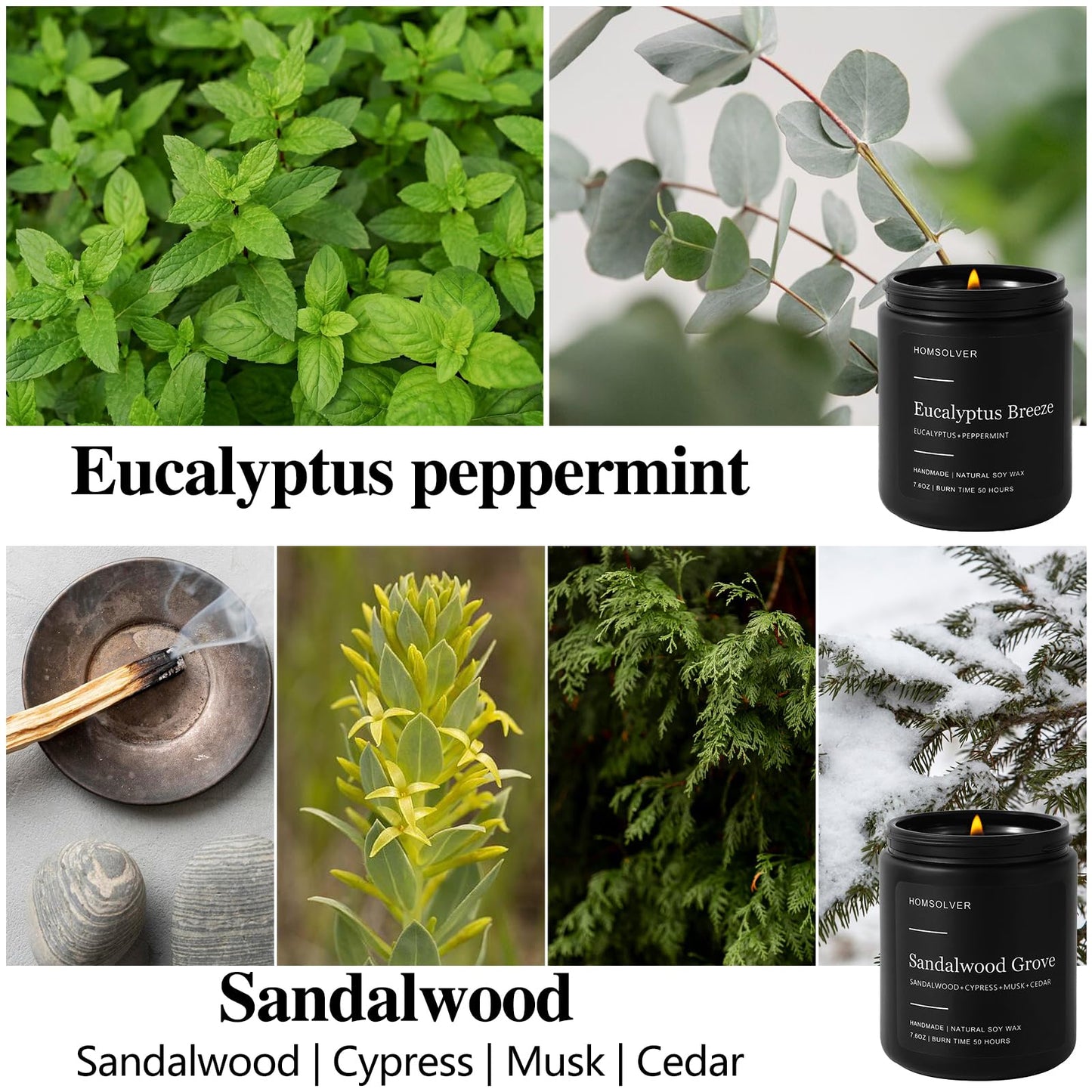 Homsolver Set of 4 Scented Candles for Home Decor, Candle Gifts for Dad Men Him, 200Hours Burn Tine, Vanilla, Lavender, Sandalwood, Eucalyptus Scented with Black Jar