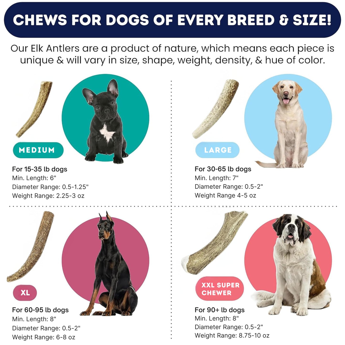 Onward Hound Elk Antlers for Dogs, 6"+ Medium 1-Pack, Grade A Long Lasting Chew for Aggressive Chewers, Premium USA Naturally Shed Antler - Healthy, No Odor, Durable Dog Chew for 15-35lb Breeds