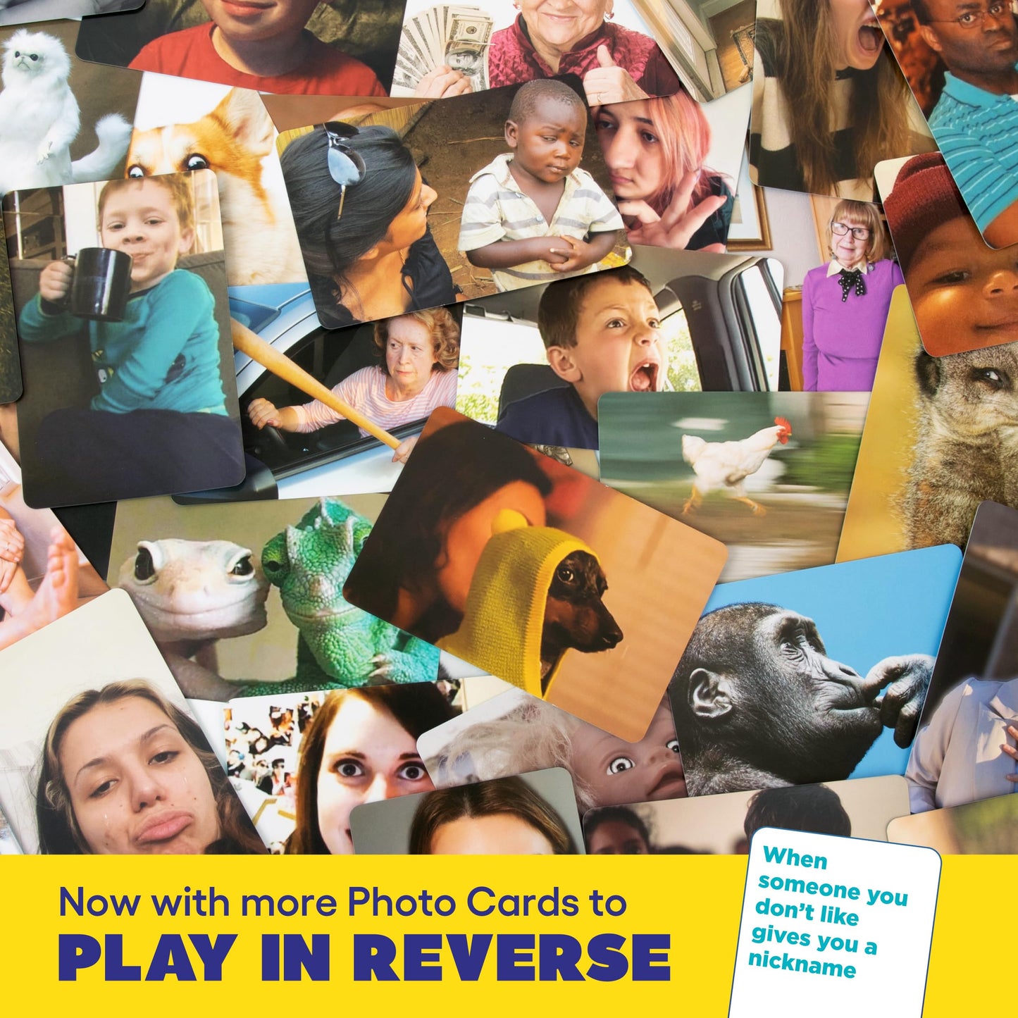 WHAT DO YOU MEME? Family Edition by Relatable, Now with Refreshed Content - Kids Games 8+, Family Games for Kids and Adults, The TikTok Viral Sensation, Includes 300 Caption Cards, 108 Photo Cards